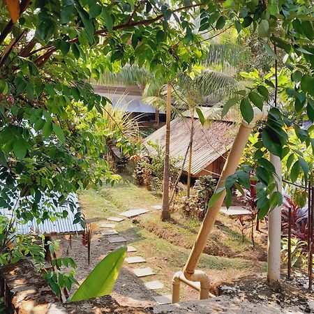 Xingu Camping Site ليتيسيا المظهر الخارجي الصورة