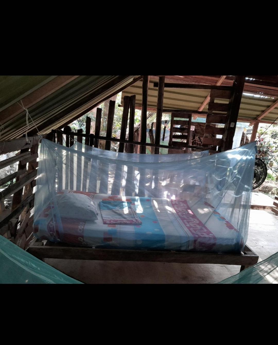 Xingu Camping Site ليتيسيا المظهر الخارجي الصورة