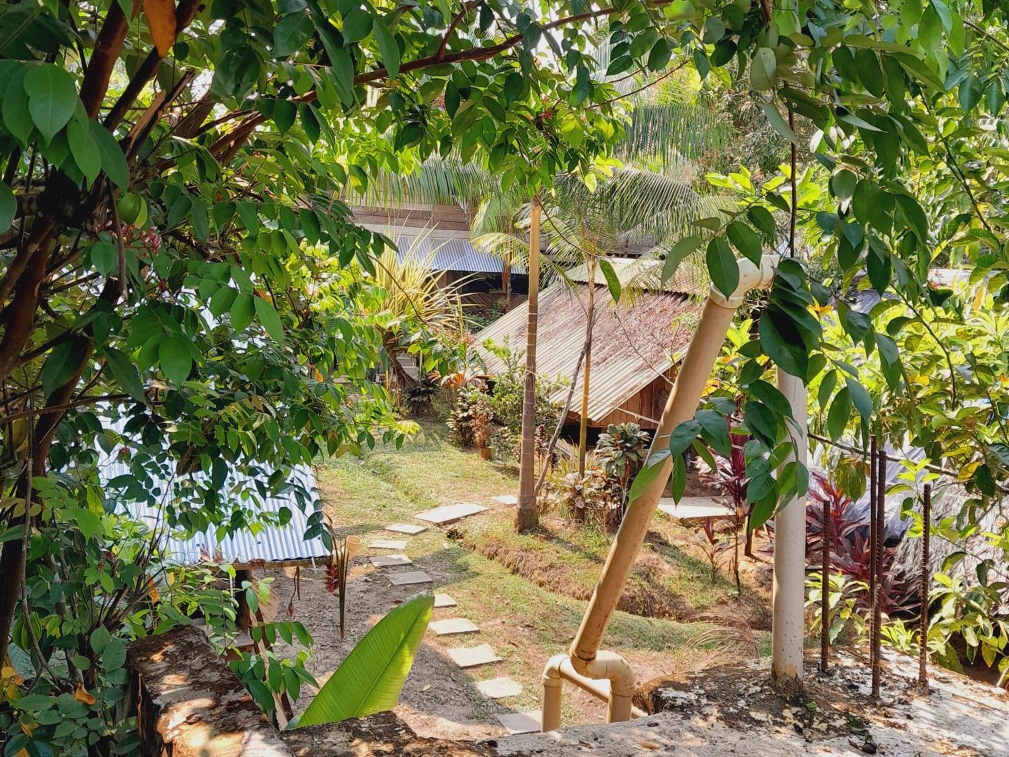 Xingu Camping Site ليتيسيا المظهر الخارجي الصورة