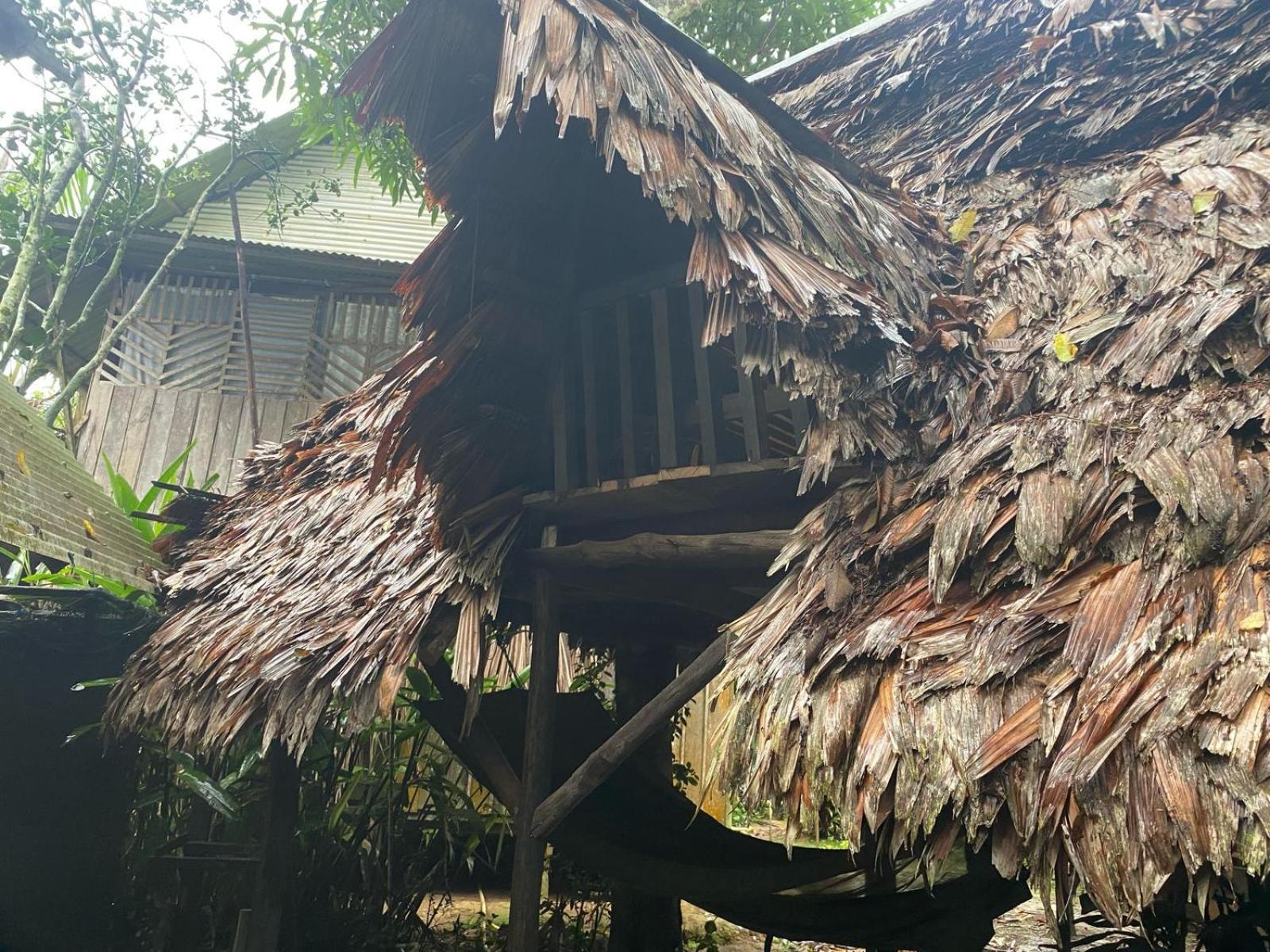 Xingu Camping Site ليتيسيا المظهر الخارجي الصورة