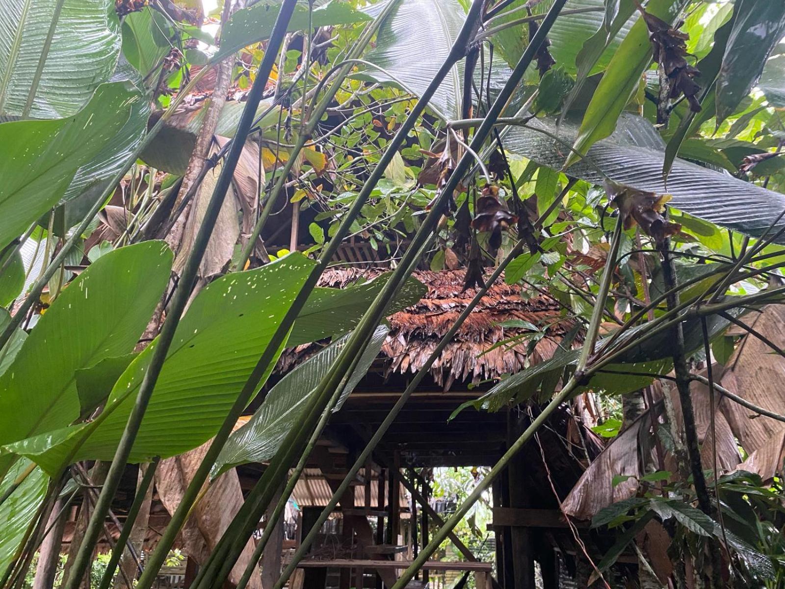 Xingu Camping Site ليتيسيا المظهر الخارجي الصورة