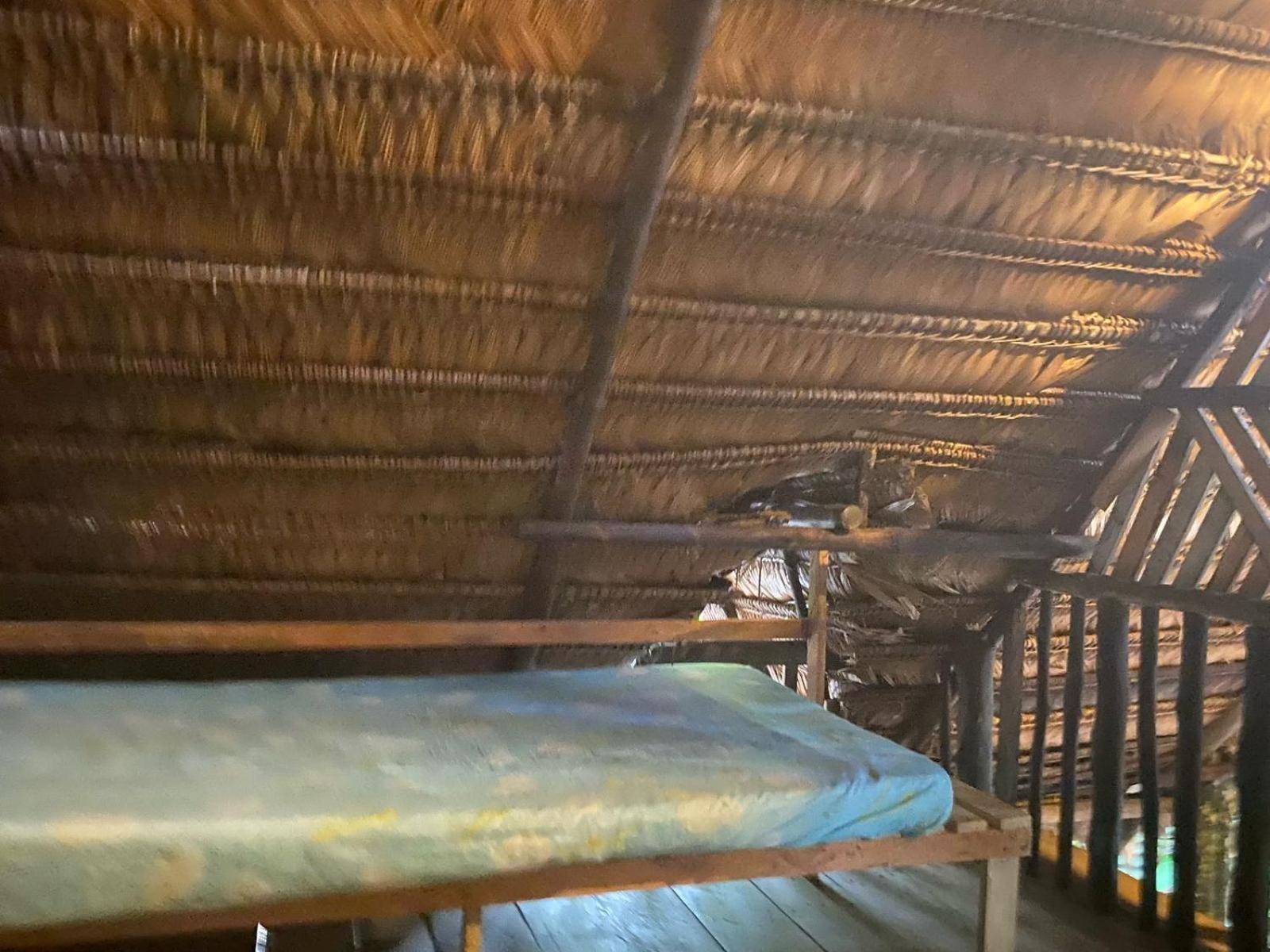 Xingu Camping Site ليتيسيا المظهر الخارجي الصورة
