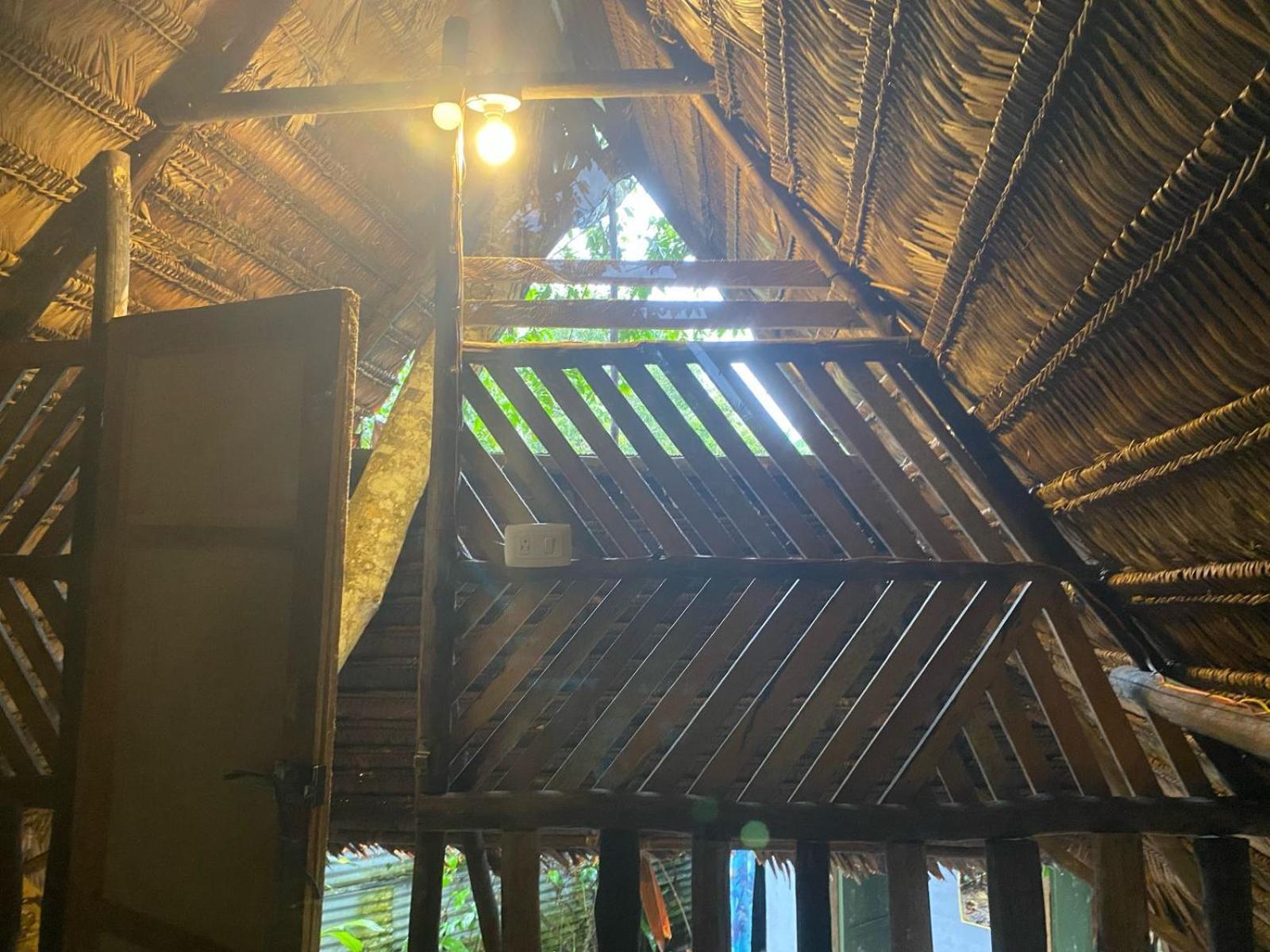 Xingu Camping Site ليتيسيا المظهر الخارجي الصورة