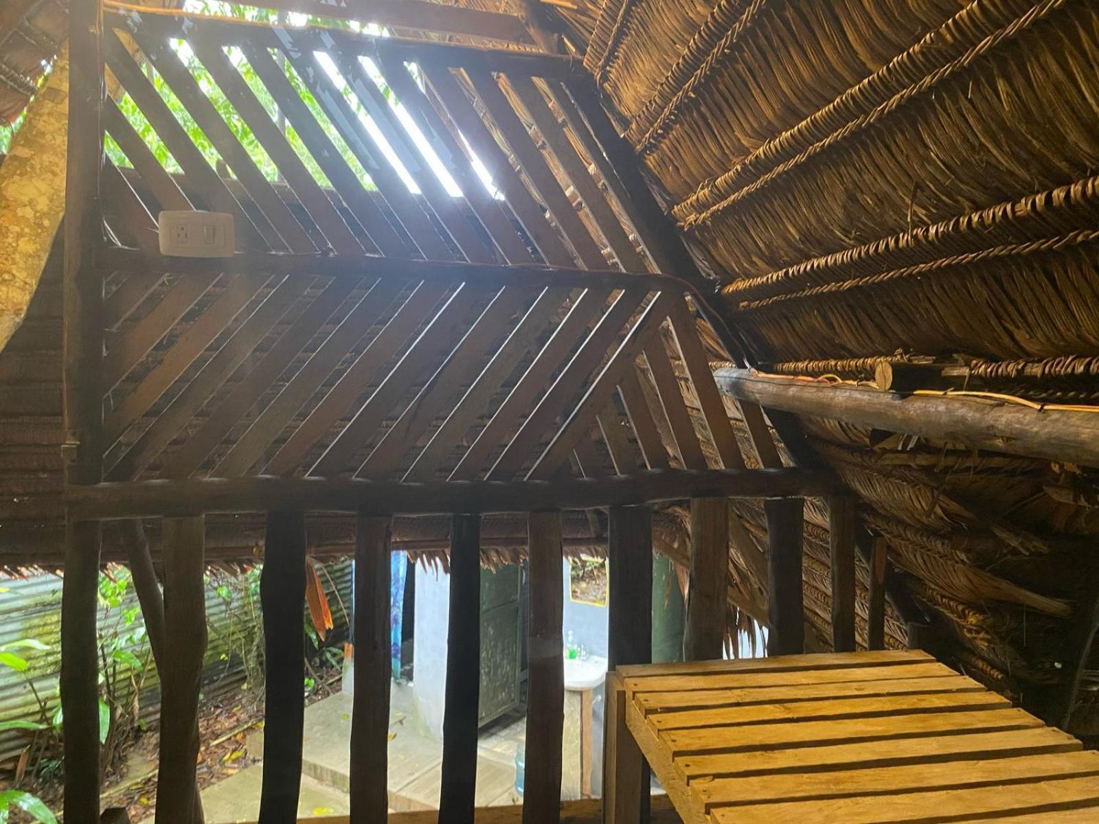 Xingu Camping Site ليتيسيا المظهر الخارجي الصورة