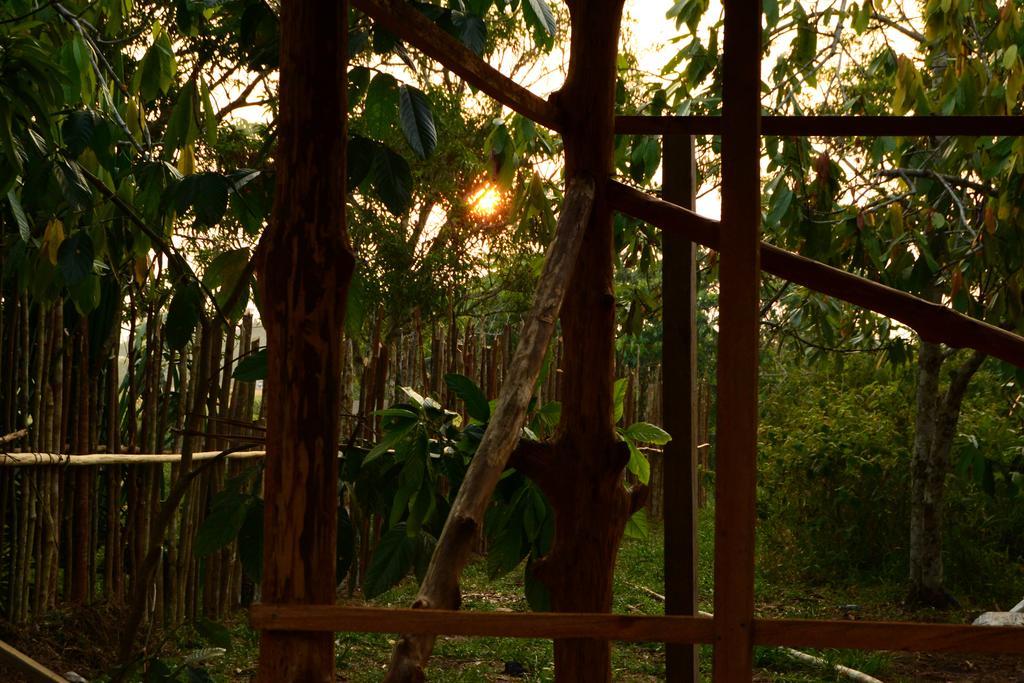 Xingu Camping Site ليتيسيا المظهر الخارجي الصورة