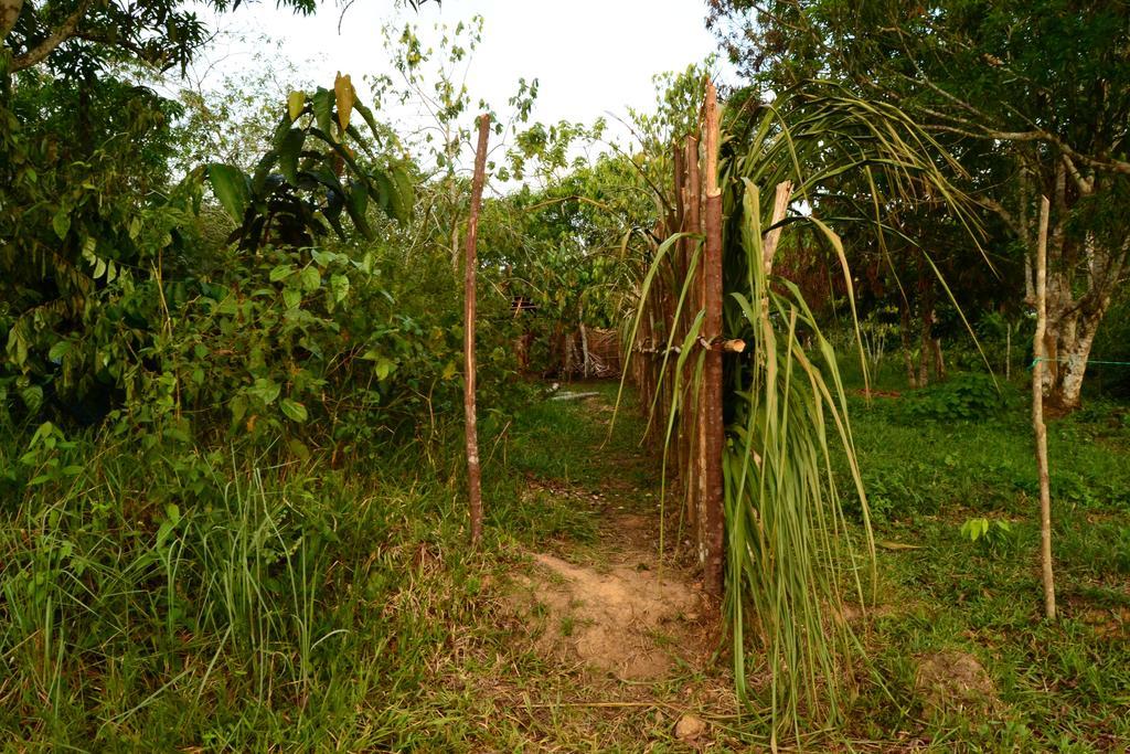 Xingu Camping Site ليتيسيا المظهر الخارجي الصورة