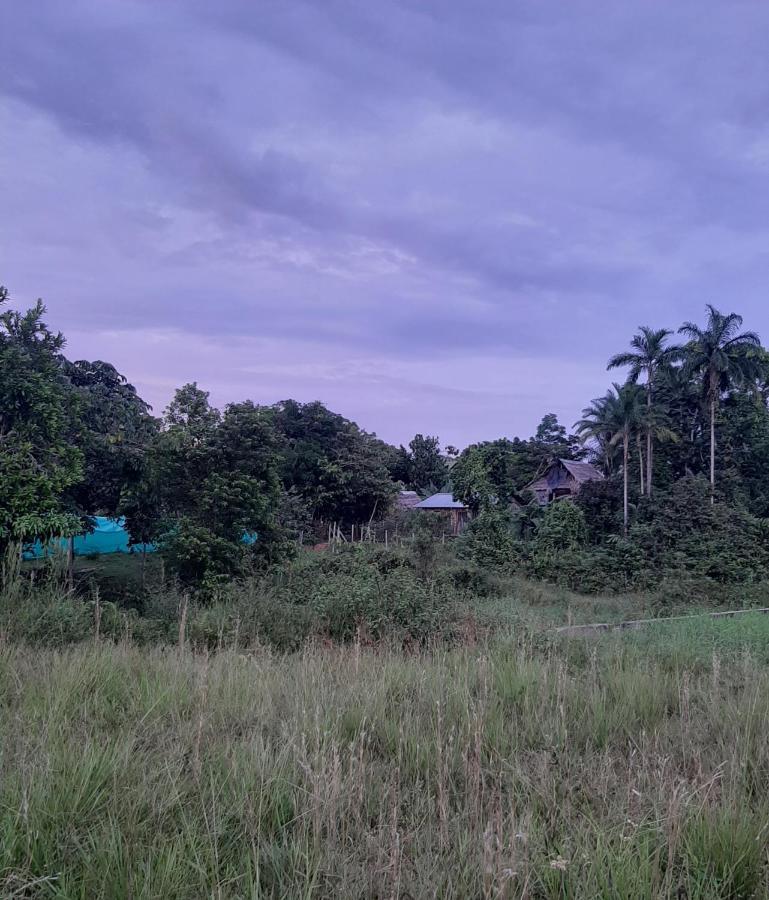 Xingu Camping Site ليتيسيا المظهر الخارجي الصورة