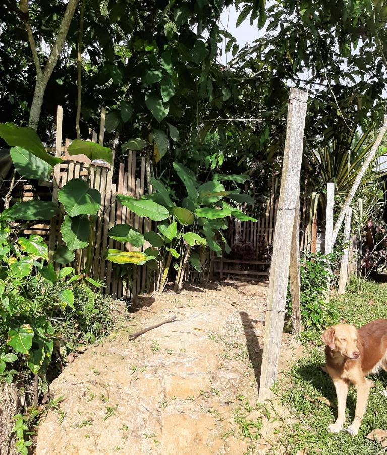 Xingu Camping Site ليتيسيا المظهر الخارجي الصورة