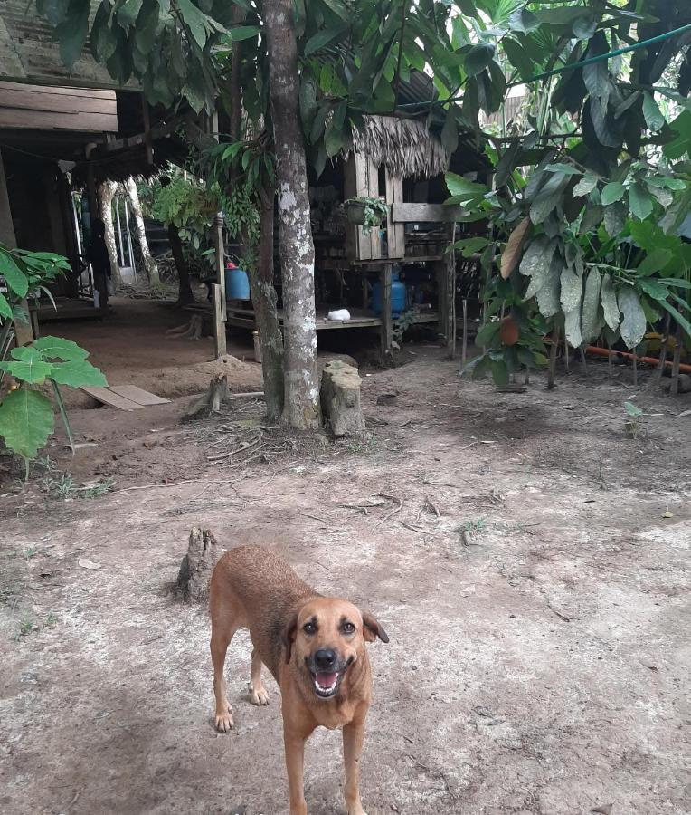 Xingu Camping Site ليتيسيا المظهر الخارجي الصورة