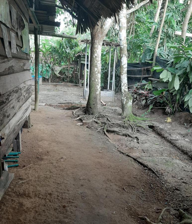 Xingu Camping Site ليتيسيا المظهر الخارجي الصورة